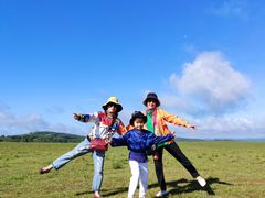 -御道口草原森林风景区