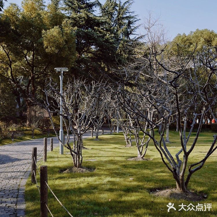 街头随拍｜华山绿地｜闹市区里的街心公园