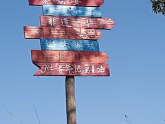 -上海都市菜园