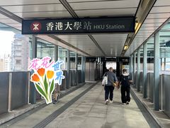 -香港大学