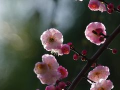 -静安雕塑公园