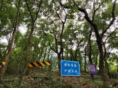 -南京老山国家森林公园