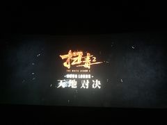 -AMG海上明珠影城(上海环球港RealDCinema店)