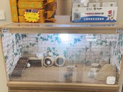 -美联众合爱康动物医院•复杂内科•肿瘤科•牙科•腔镜诊疗中心