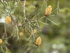 -周口店北京人遗址公园