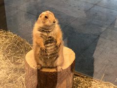 -悠尼宠物·独立低压伊珊娜洗护·美容·寄养(兰谷路店)