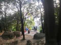 -火炉山森林公园