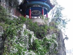 -西华公园