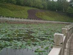 -中山市树木园