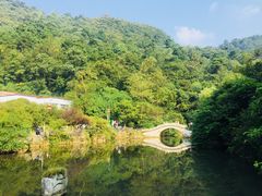 -西南交通大学(九里校区)