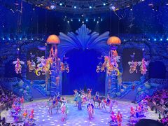 -海合安武汉极地海洋公园