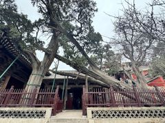 -晋祠公园