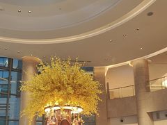 -Plush大堂酒廊(北京金融街威斯汀大酒店)