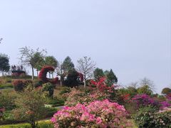 -东莞植物园