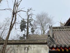 -终南山南五台景区