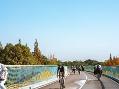 -白鹭湾湿地公园