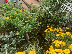 -浔岚云舍mist静谧观景美宿(丽江古城店)