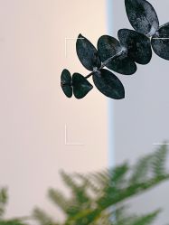 -JONMAVIN·美学