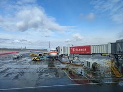 -苏氏牛肉面(机场店)