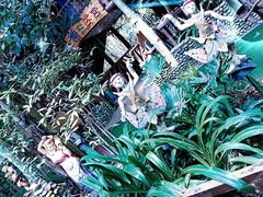 -呀路古热带植物园