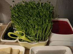 -海底捞火锅(龙湖北京大兴天街店)