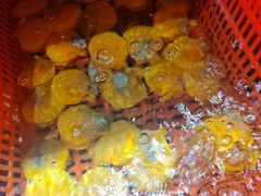 -巽寮印象美食部落餐厅·海鲜·地方特色菜(惠州体验店)