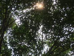 -东部华侨城