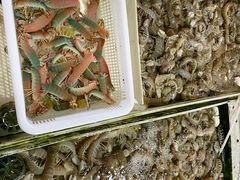 -南沙十九涌渔人码头-南门