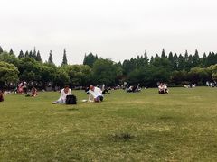 -复旦大学光华楼