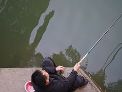 -小洲村