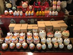 -猫咪博物馆(顶澳仔猫街店)