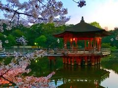 -奈良公园