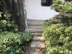 -南山植物园