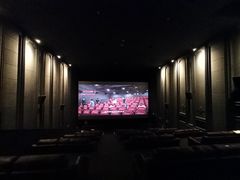 -CGV影城(壹方城IMAX店)