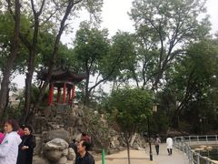 -莲湖公园