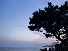 -靓湾海鲜·海景餐厅(小麦岛店)