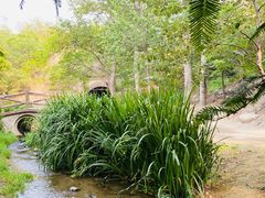 -白水寺森林公园