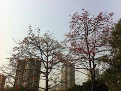 -晓港公园