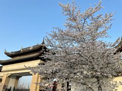-苏州上方山国家森林公园