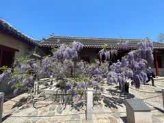 -刘公岛景区
