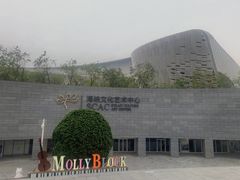 -福州海峡文化艺术中心