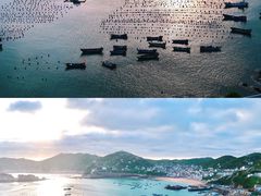 -枸杞岛
