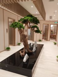 点击看大图 -HQ半永久纹绣纹眉