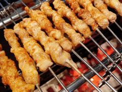 -很久以前羊肉串(昌里路三钢里店)