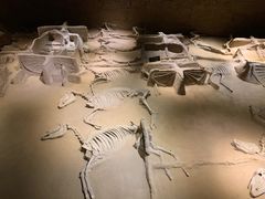 -洛阳周王城天子驾六博物馆