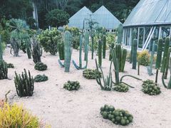 -深圳仙湖植物园-停车场