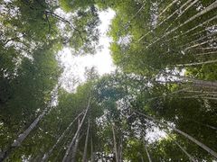 -中国花亭湖风景名胜区-西风禅寺