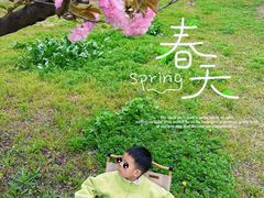 -汉长安城未央宫国家考古遗址公园