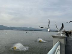 -海埂大坝
