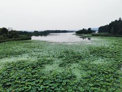 -东湖落雁景区